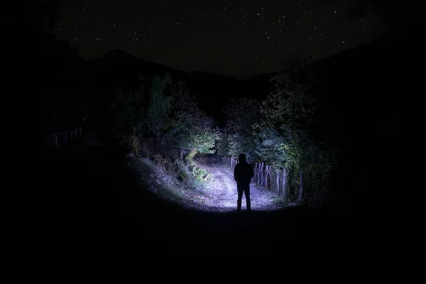 Silueta Osoby Stojící Temném Lese Světlem Horor Halloween Koncept Podivná — Stock fotografie