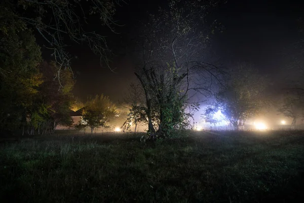 Noche Oscura Bosque Hora Niebla Escena Surrealista Del Bosque Nocturno — Foto de Stock