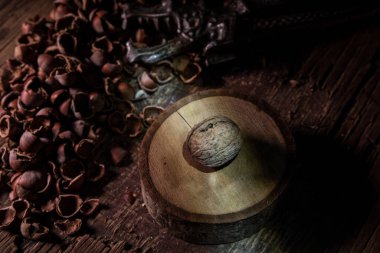 Eski ahşap masada fındık kabuklarıyla hala hayat var. Yaratıcı masa dekorasyonu. - Yakın çekim. Seçici odak