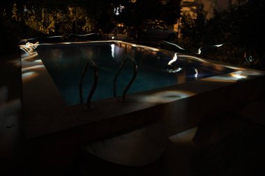 Gece havuzu, tatil geçmişi. Renkli ışık süslemesi. Dondurucu Işık
