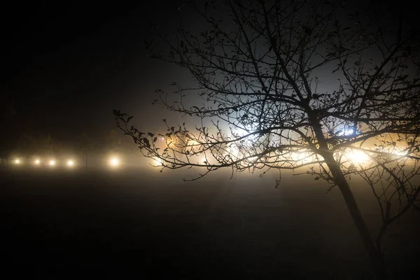 Drzewa Lampy Uliczne Cichą Mglistą Noc Mgliste Lampy Wieczorne Pustej — Zdjęcie stockowe