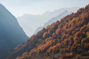 Renkli sonbahar ormanıyla muhteşem bir manzara. Sonbahar mevsiminde güzel ağaçlar. Azerbaycan Doğası