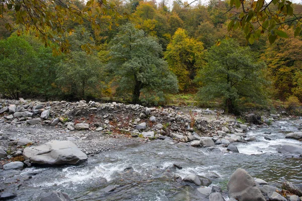 Górska Rzeka Słoneczny Poranek Piękna Przyroda Górach Przyroda Azerbejdżanu Kaukaz — Zdjęcie stockowe