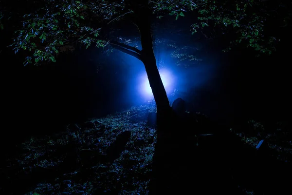 Silhueta Pessoa Floresta Escura Com Luz Conceito Halloween Horrível Silhueta — Fotografia de Stock