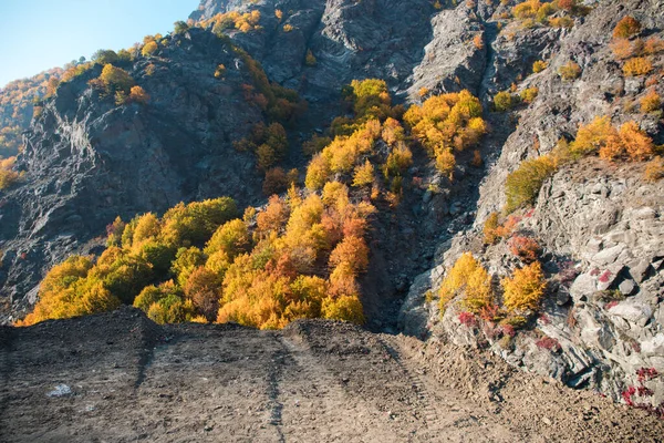 Vue Imprenable Avec Forêt Automne Colorée Beaux Arbres Automne Azerbaïdjan — Photo