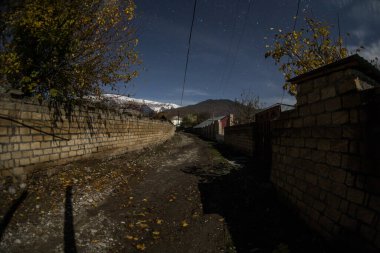 Geceleri ormanda bir hayaletin olduğu eski bir ev ya da terk edilmiş bir korku evi. Ölü ağaç ormanındaki eski mistik bina. Gerçeküstü ışıklar. Korku Cadılar Bayramı konsepti