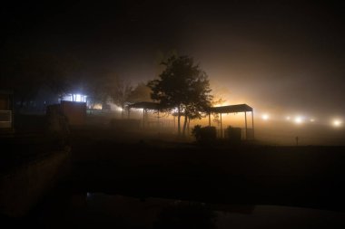 Geceleri ışık / çardağı olan bir çardak / gece parlayan bir çardak ya da sisli bir gecede ağaçlar ve sokak lambaları. Ormandaki boş yolda sisli gece lambaları.