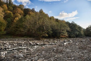 Güneşli bir sabahta dağ nehri. Dağlarda güzel doğa. Azerbaycan Kafkasya doğası.