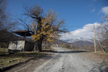 Günbatımında asfalt dağ yolu olan renkli sonbahar ormanıyla muhteşem bir manzara. Sonbaharda akşamları boş yollar, ağaçlar ve güneş ışığı olan güzel bir manzara. Seyahat geçmişi. Doğa