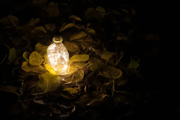 Beautiful view of bottle with light at night at the garden. Lamp Magical fairy dust potion in bottle in the forest. Long exposure shot. Selective focus
