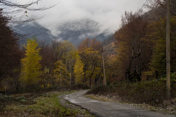 Increíble Vista Con Colorido Bosque Otoño Con Carretera Montaña Asfalto — Foto de Stock