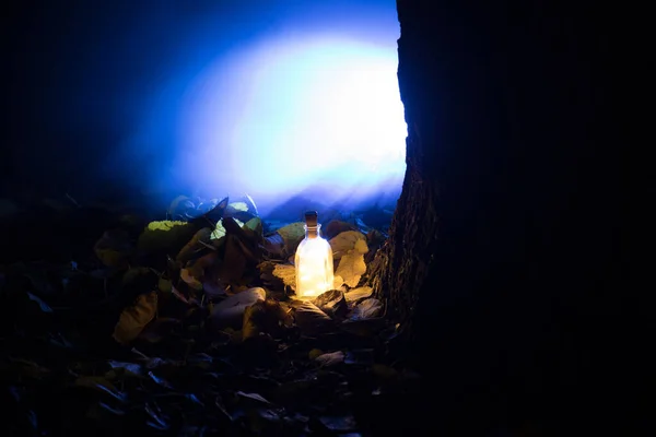 Hermosa Vista Botella Con Luz Por Noche Jardín Lámpara Mágica — Foto de Stock