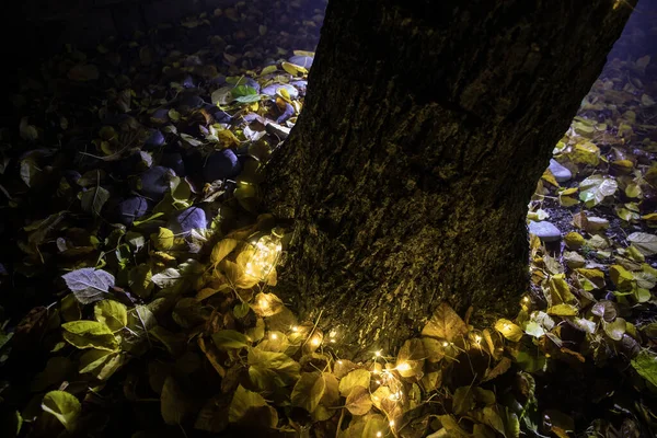 Beautiful view of bottle with light at night at the garden. Lamp Magical fairy dust potion in bottle in the forest. Long exposure shot. Selective focus