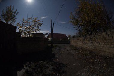 Geceleri ormanda bir hayaletin olduğu eski bir ev ya da terk edilmiş bir korku evi. Ölü ağaç ormanındaki eski mistik bina. Gerçeküstü ışıklar. Korku Cadılar Bayramı konsepti