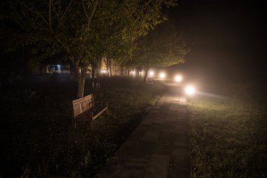 Sessiz, sisli bir gecede ağaçlar ve sokak lambaları. Ormandaki boş yolda sisli gece lambaları.