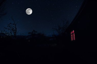 Geceleri ormanda bir hayaletin olduğu eski bir ev ya da terk edilmiş bir korku evi. Ölü ağaç ormanındaki eski mistik bina. Gerçeküstü ışıklar. Korku Cadılar Bayramı konsepti