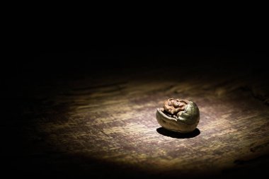 Fındık yemeği konsepti. Ceviz çekirdekleri ve eski ahşap masadaki cevizlerle dolu bir hayat. Yaratıcı masa dekorasyonu. - Yakın çekim. Seçici odak