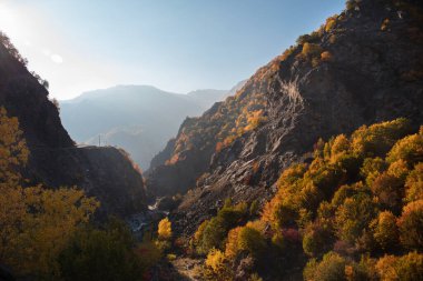 Renkli sonbahar ormanıyla muhteşem bir manzara. Sonbahar mevsiminde güzel ağaçlar. Azerbaycan Doğası