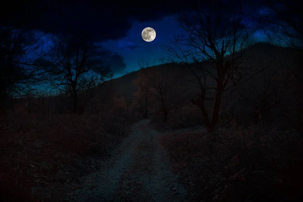 Horská Cesta Lesem Úplňku Scénická Noční Krajina Tmavě Modré Oblohy — Stock fotografie