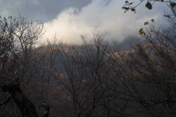 Increíble Vista Con Colorido Bosque Otoño Con Carretera Montaña Asfalto — Foto de Stock