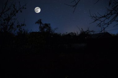 Geceleri ormanda bir hayaletin olduğu eski bir ev ya da terk edilmiş bir korku evi. Ölü ağaç ormanındaki eski mistik bina. Gerçeküstü ışıklar. Korku Cadılar Bayramı konsepti