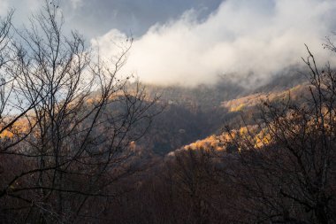 Günbatımında asfalt dağ yolu olan renkli sonbahar ormanıyla muhteşem bir manzara. Sonbaharda akşamları boş yollar, ağaçlar ve güneş ışığı olan güzel bir manzara. Seyahat geçmişi. Doğa