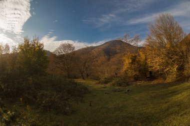 Günbatımında asfalt dağ yolu olan renkli sonbahar ormanıyla muhteşem bir manzara. Sonbaharda akşamları boş yollar, ağaçlar ve güneş ışığı olan güzel bir manzara. Seyahat geçmişi. Doğa