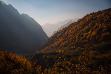 Renkli sonbahar ormanıyla muhteşem bir manzara. Sonbahar mevsiminde güzel ağaçlar. Azerbaycan Doğası