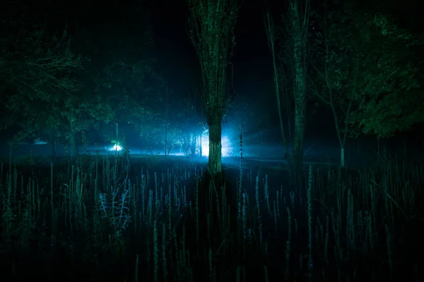 Nuit Noire Dans Forêt Moment Brouillard Scène Forêt Nocturne Surréaliste — Photo