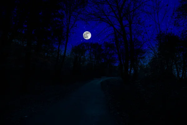 Mountain Road through the forest on a full moon night. Scenic night landscape of dark blue sky with moon.