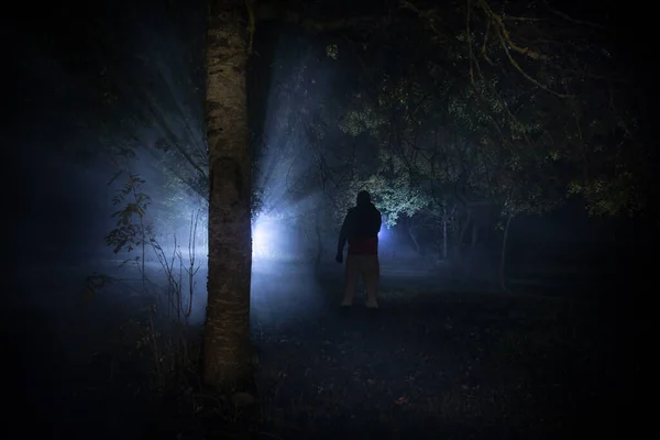 Silhouette Personne Debout Dans Forêt Sombre Avec Lumière Horreur Concept — Photo