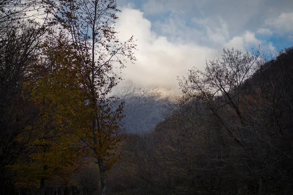 Increíble Vista Con Colorido Bosque Otoño Con Carretera Montaña Asfalto — Foto de Stock