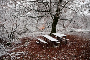 Kış ormanında karla kaplı eski ahşap bir masa. Karlı bir arka plan. kış doğası konsepti.