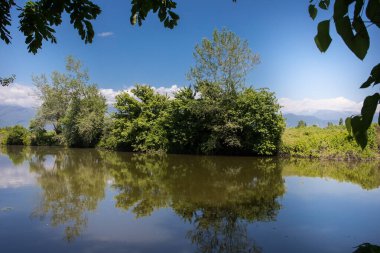 Azerbaycan 'ın kuzeyinde güzel bir yaz manzarası. Güneşli bir gün.
