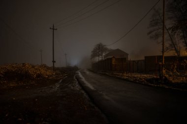 Sisli bir gecede ormanda bir hayaletin olduğu eski bir ev ya da House 'un ayın altında olduğu bir gece sahnesi. Ölü ağaç ormanındaki eski mistik bina..