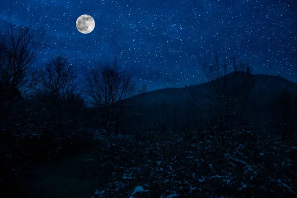 Mountain Road Través Del Bosque Nevado Una Noche Luna Llena — Foto de Stock