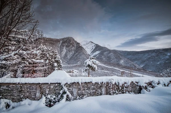 Alberi Invernali Montagne Coperte Neve Fresca Bellissimo Paesaggio Con Rami — Foto Stock