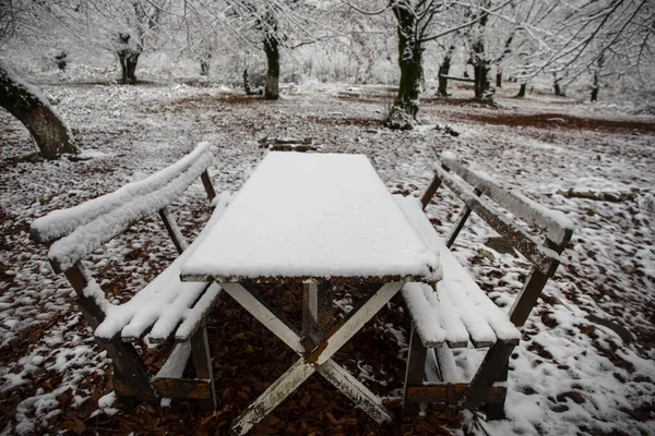 Vieux Plateau Bois Recouvert Neige Dans Forêt Hiver Fond Neigeux — Photo