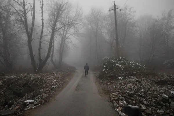 Людина Йде Стежкою Дивному Темному Лісі Туманом Старий Силует Ходить — стокове фото