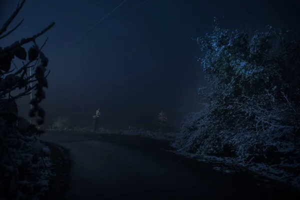 Mountain Road through the snowy forest on a full moon night. Scenic night winter landscape of dark blue sky with moon and stars. Azerbaijan