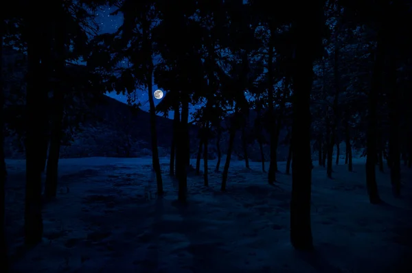 Mountain Road through the snowy forest on a full moon night. Scenic night winter landscape of dark blue sky with moon and stars. Azerbaijan