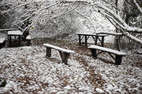 Gammal Träskiva Täckt Med Snö Vinterskogen Snöig Bakgrund Vinternatur Koncept — Stockfoto