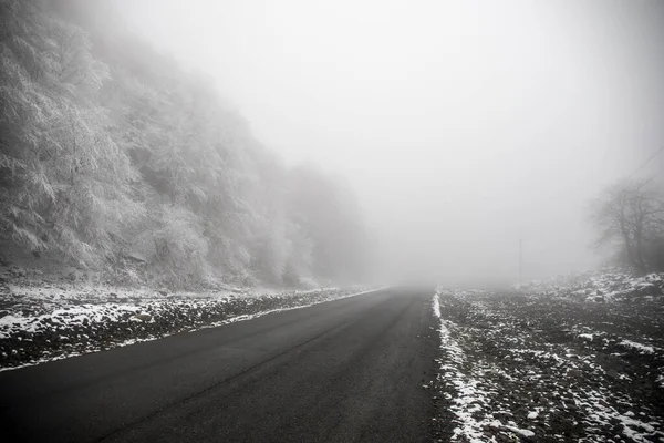 Winter Trees Mountains Covered Fresh Snow Beautiful Foggy Landscape Branches — Stock Photo, Image