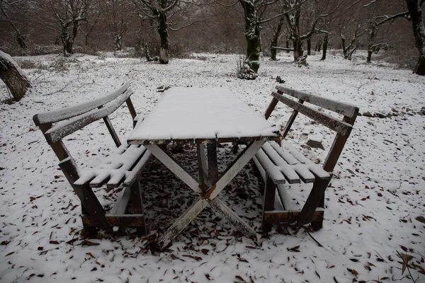 Antigua Mesa Madera Cubierta Nieve Bosque Invierno Fondo Nevado Concepto —  Fotos de Stock