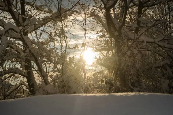 Ağaçların Arasında Günbatımı Kış Döneminde Gerginleşir Kış Boyunca Güzel Dağ — Stok fotoğraf