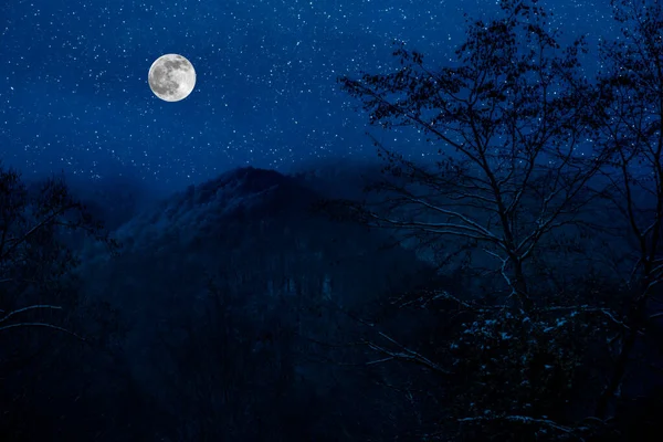 Mountain Road Genom Den Snöiga Skogen Fullmåne Natt Naturskönt Vinterlandskap — Stockfoto