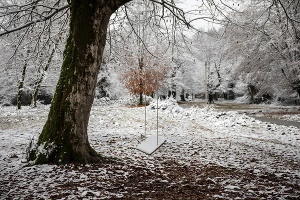 Escena Solo Columpio Colgando Rama Del Árbol Bosque Nevado Invierno —  Fotos de Stock