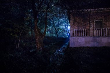 Geceleri ormanda bir hayaletin olduğu eski bir ev ya da terk edilmiş bir korku evi. Ölü ağaç ormanındaki eski mistik bina. Gerçeküstü ışıklar. Korku Cadılar Bayramı konsepti