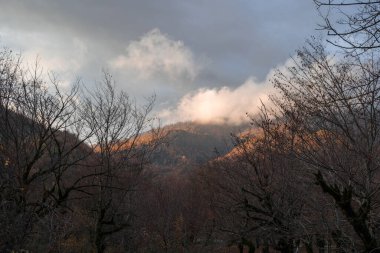 Günbatımında asfalt dağ yolu olan renkli sonbahar ormanıyla muhteşem bir manzara. Sonbaharda akşamları boş yollar, ağaçlar ve güneş ışığı olan güzel bir manzara. Seyahat geçmişi. Doğa