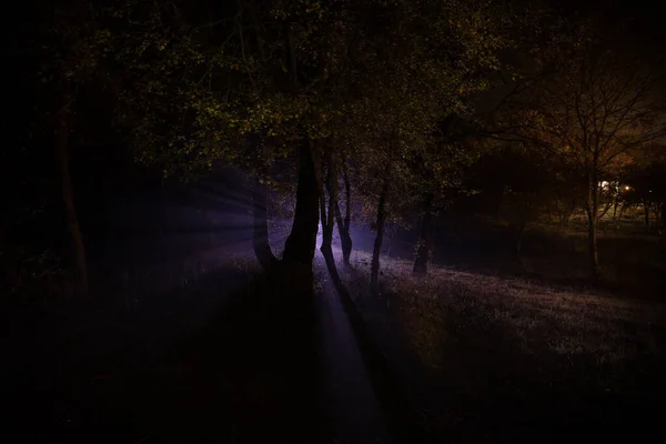 Donkere Nacht Het Bos Mist Een Surrealistische Nachtelijke Bosscène Horror — Stockfoto